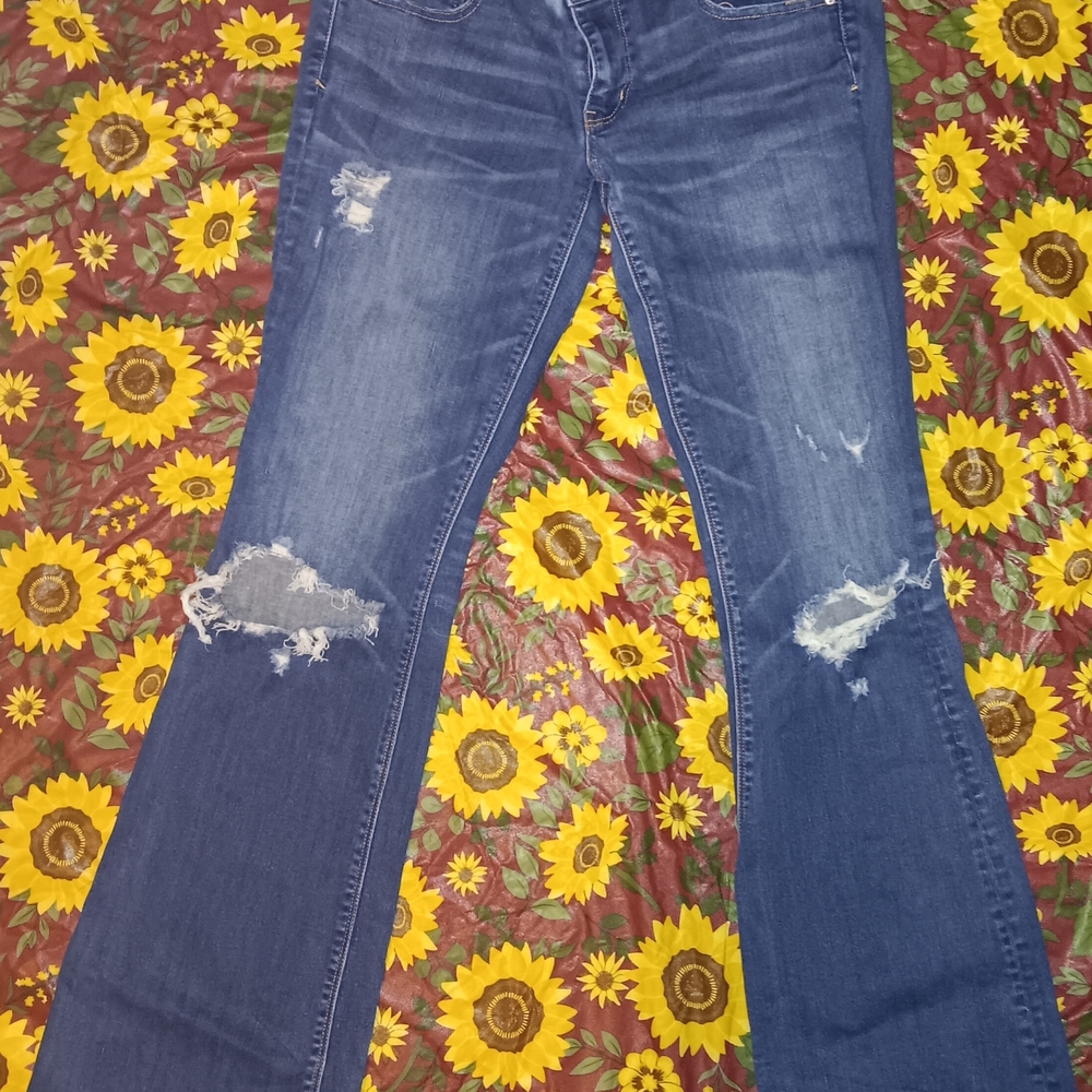 14 X Long American Eagle Artist Flare